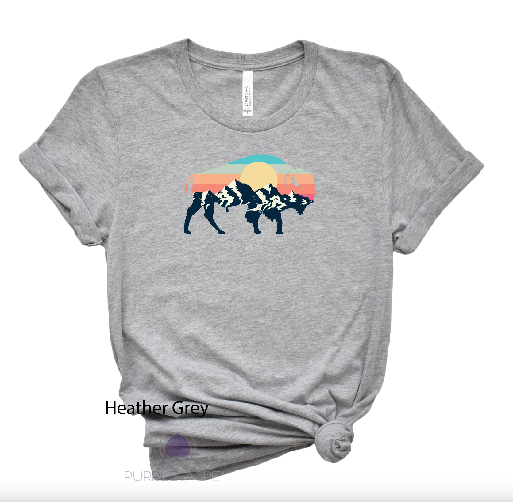 Buffalo Silhouette Rainbow Shirt