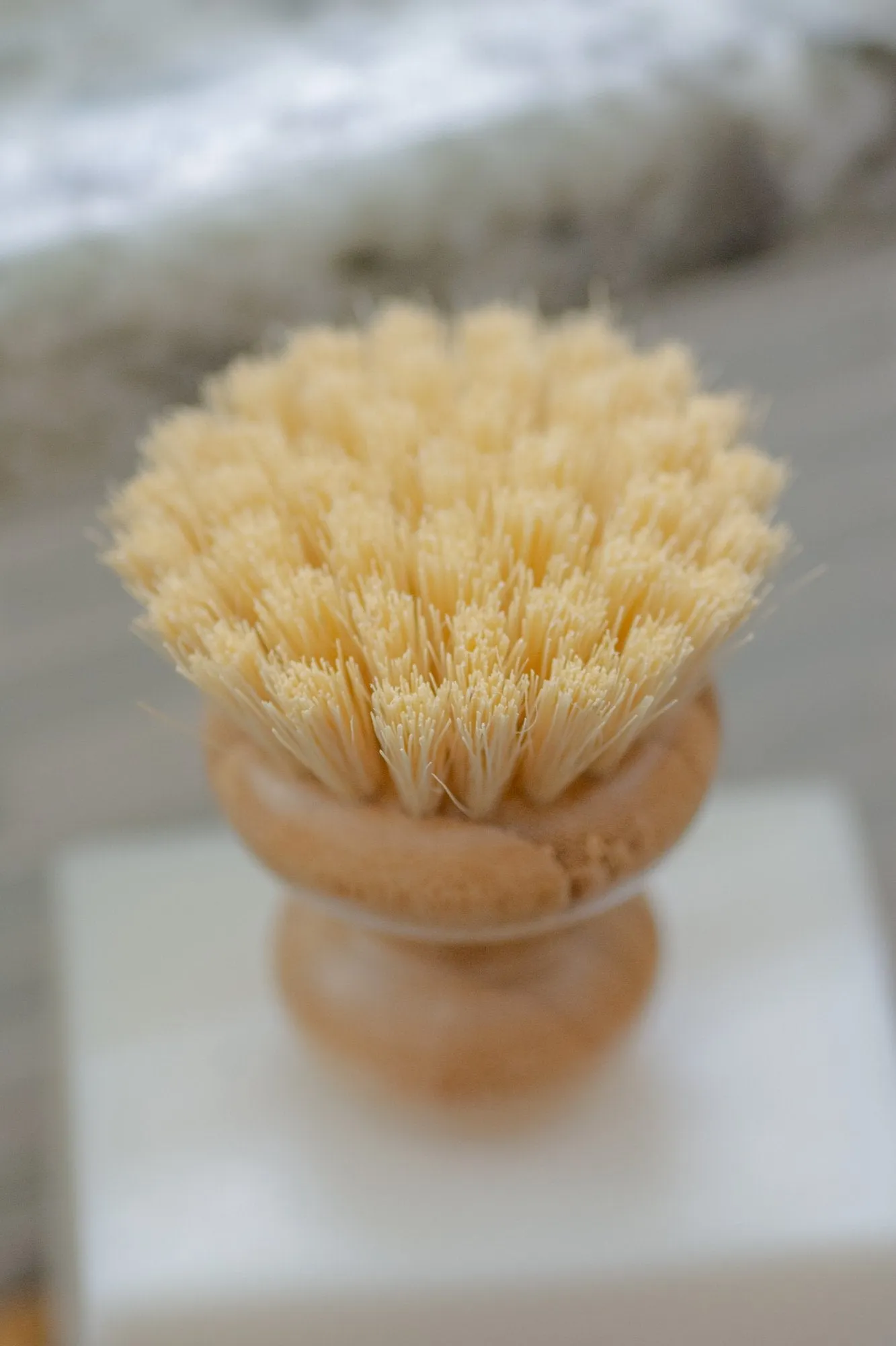 Casa Agave Dish Scrubber