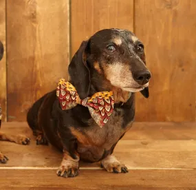 Dog Bow Tie - Ruffled Feathers