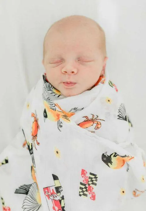 Gift Set: Maryland Baby Muslin Swaddle Blanket and Burp Cloth/Bib Combo