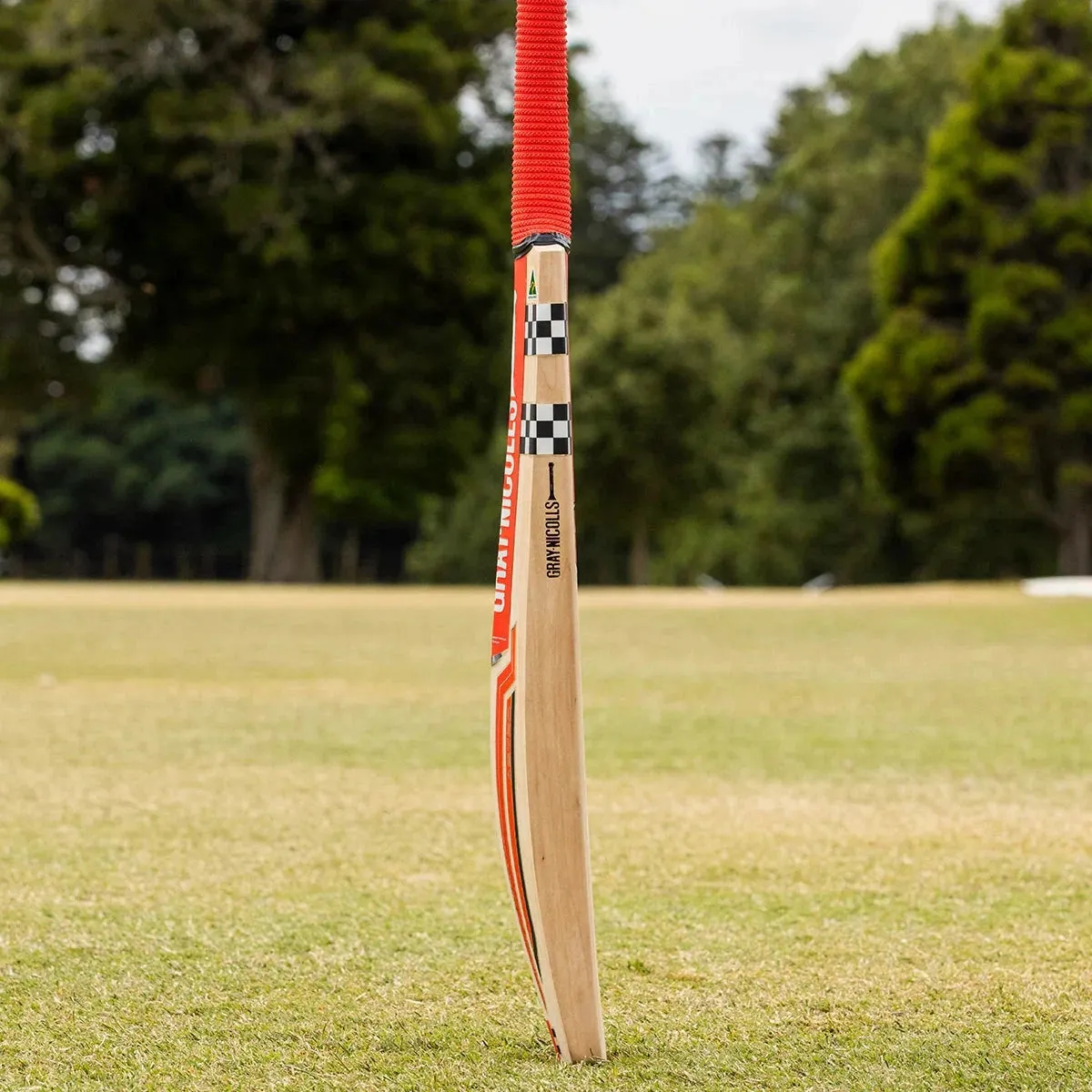 GN Astro 950 Play Now Adult Cricket Bat