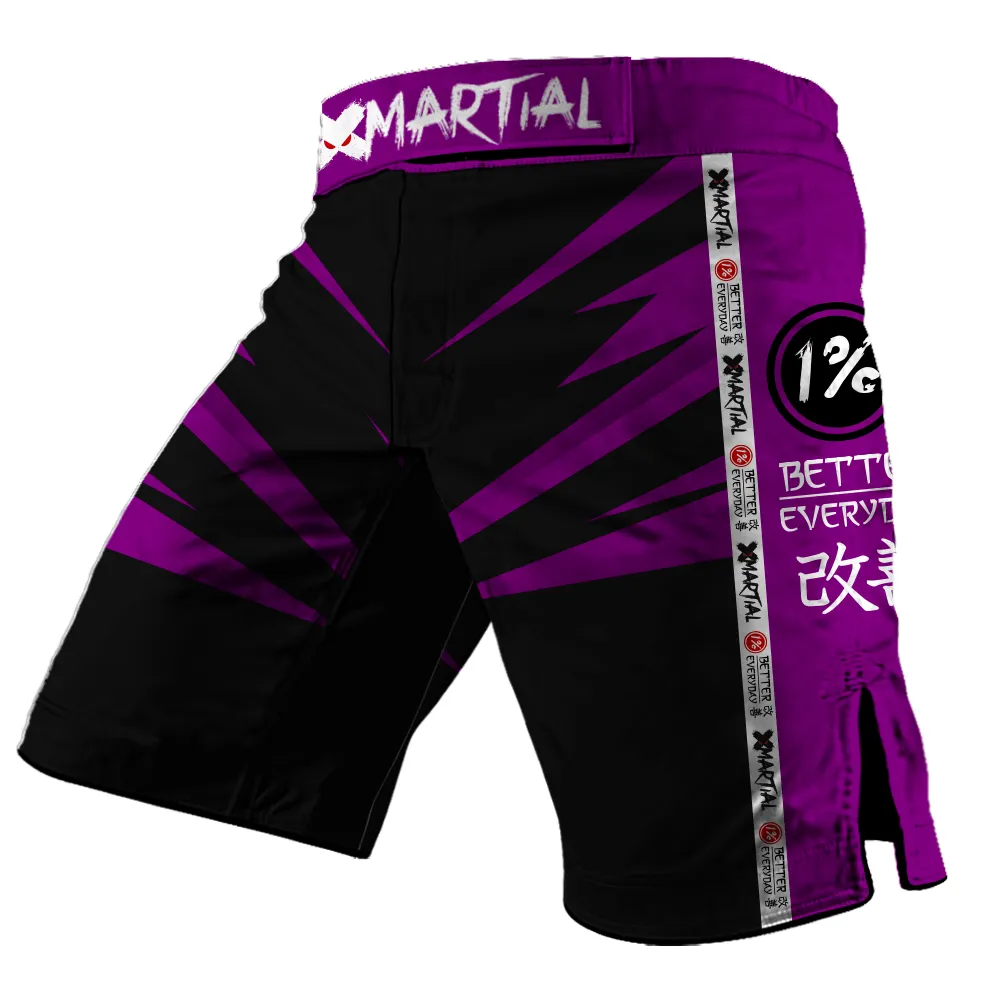 Jiu Jitsu Rank 2.0 Hybrid BJJ/MMA Shorts