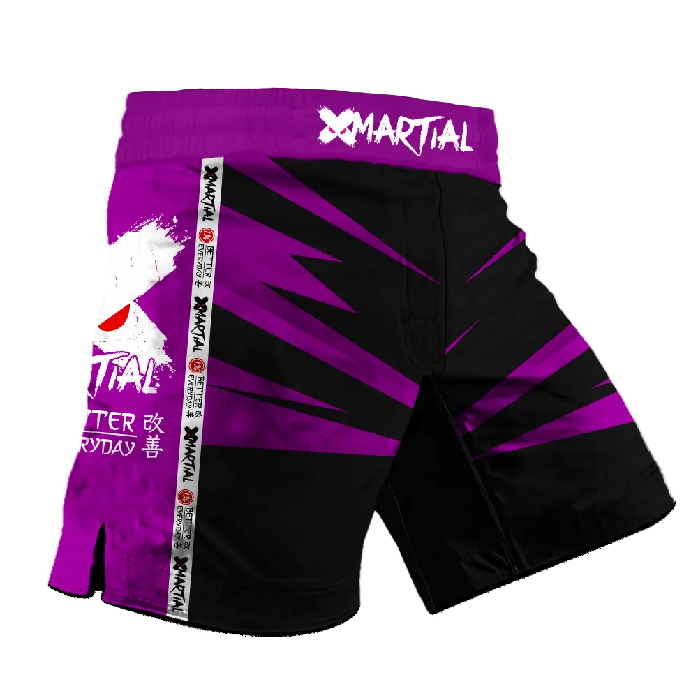 Jiu Jitsu Rank 2.0 Hybrid BJJ/MMA Shorts