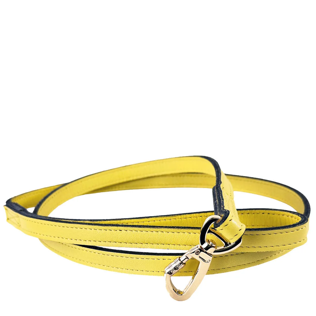 Signature Dog Leash in Canary Yellow & Gold