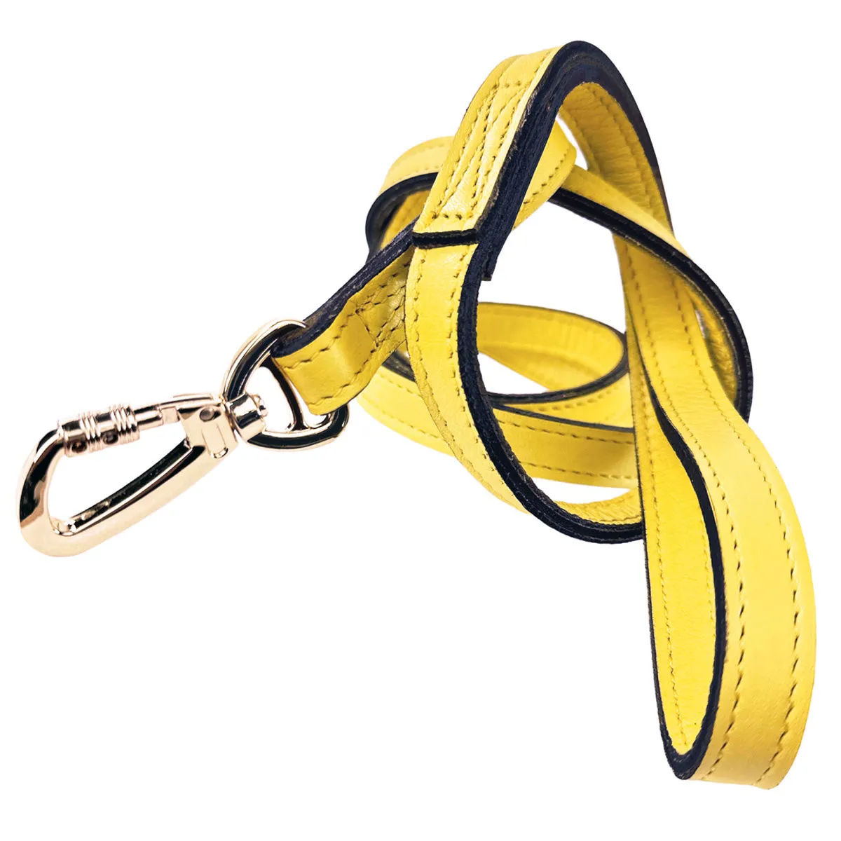 Signature Dog Leash in Canary Yellow & Gold