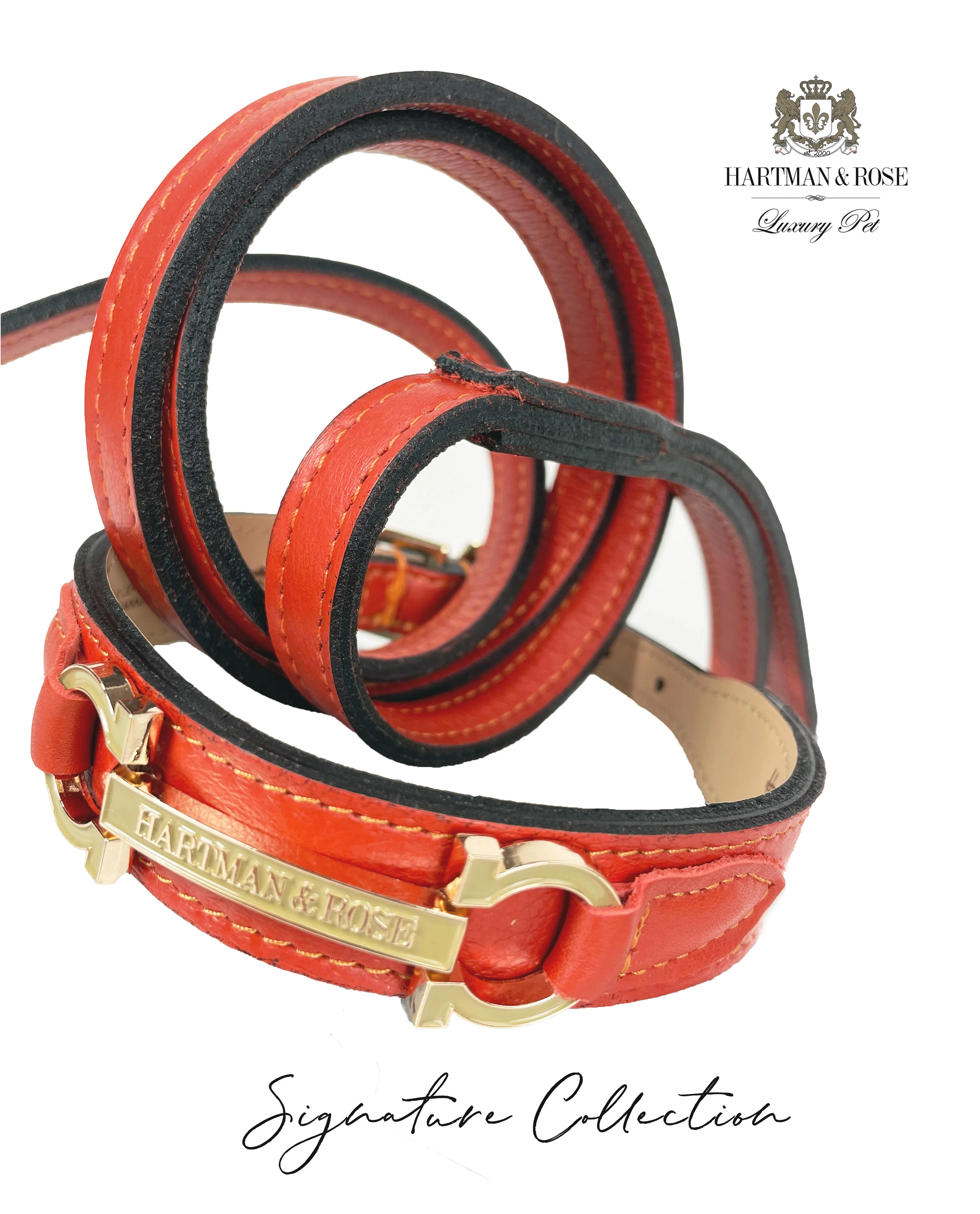 Signature Dog Leash in Tangerine & Gold